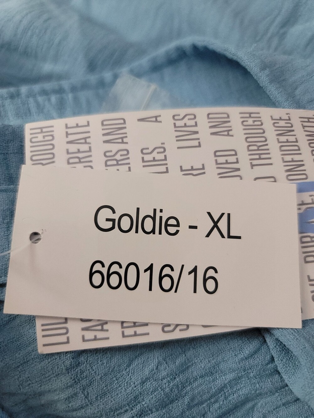 Goldie Women’s Light Blue Top - XL